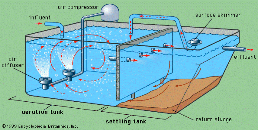 Nutrients in our water 2