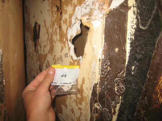 Experts bring value during lead and asbestos inspection - Blog