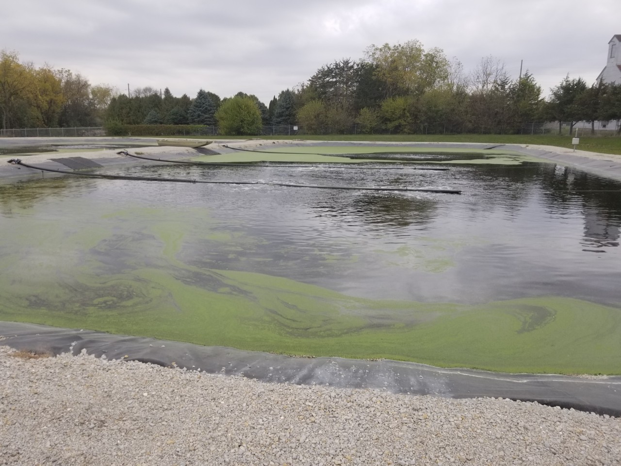 Lagoon wastewater treatment